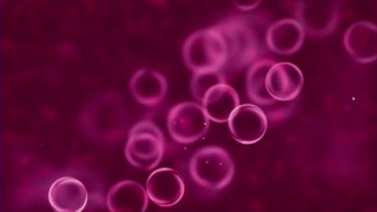 Backs In Motion, Ai Generated Art Work, Light, Bacteria, Design, Graphic