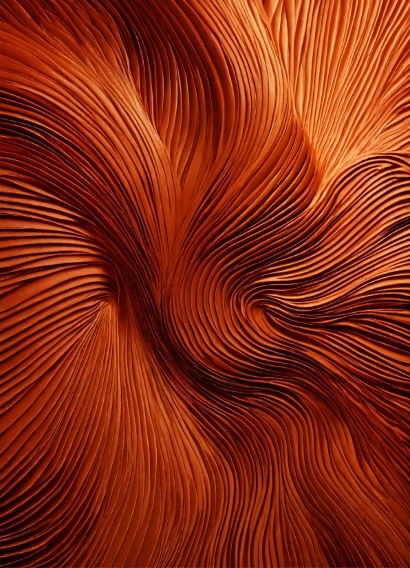 Brown, Wood, Orange, Natural Material, Art, Pattern