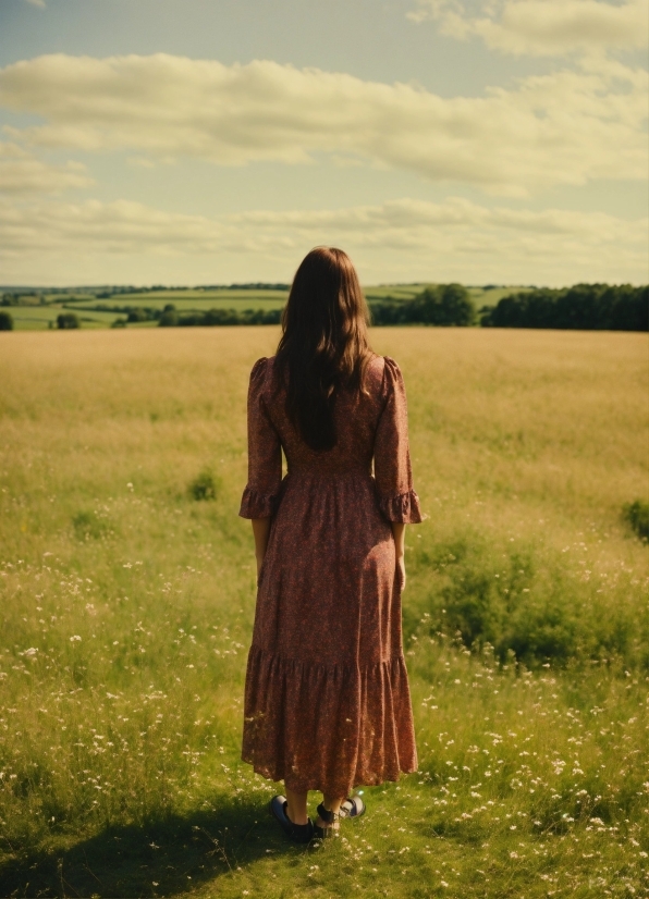 Cloak, Covering, Field, Grass, Meadow, Sky