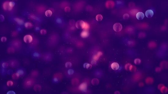 Firework, Night, Light, Star, Space, Design
