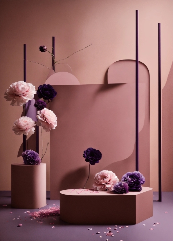Flower, Purple, Plant, Lighting, Petal, Interior Design