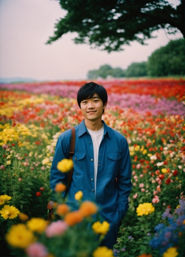 Footage For Video Editing, Person, People, Happy, Park, Outdoors