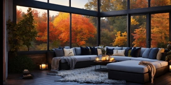 Furniture, Property, Couch, Light, Nature, Window