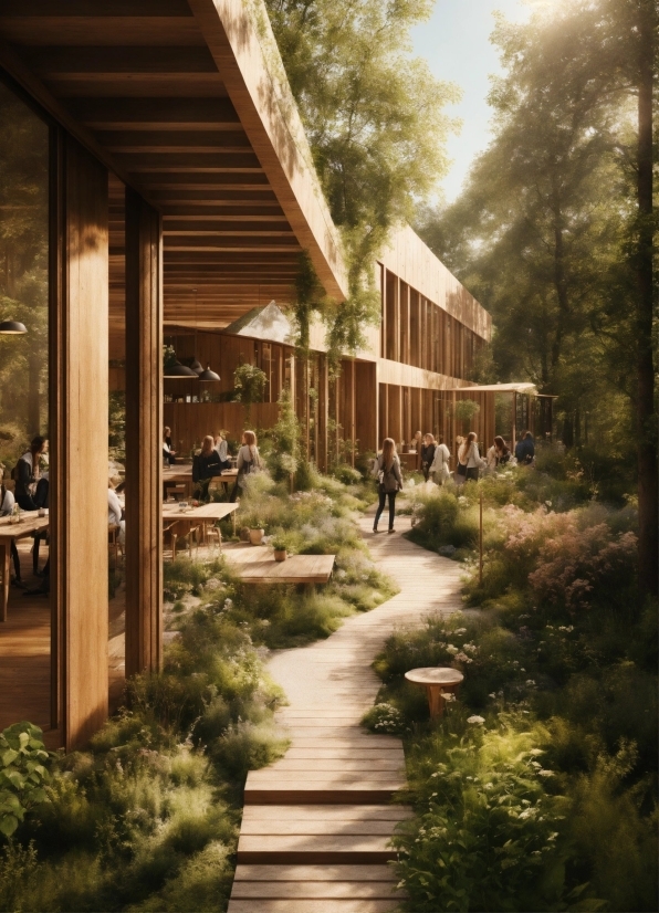 Good Editing Software, Plant, Building, Shade, Architecture, Vegetation