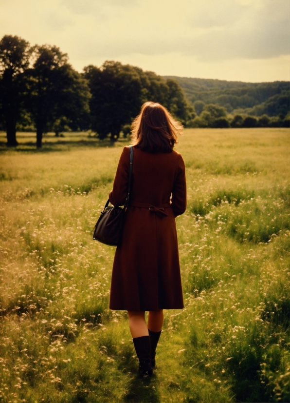 Grass, Field, Meadow, Sky, Summer, Cloak