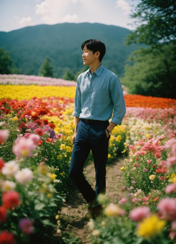 Grass, Grove, Person, Field, Happy, Outdoors