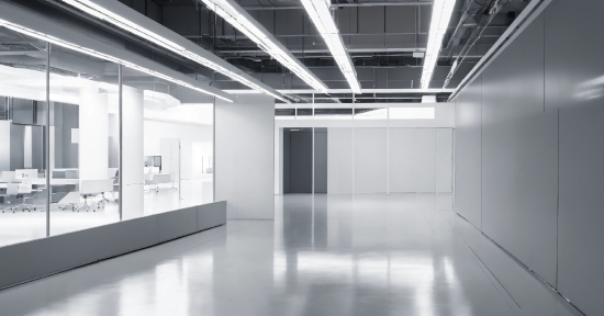 Mitch Martinez Stock Footage, Building, Fixture, Interior Design, Window, Grey