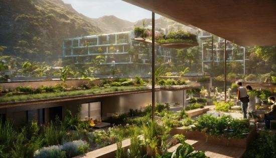 Plant, Plant Community, Botany, Vegetation, Architecture, Urban Design