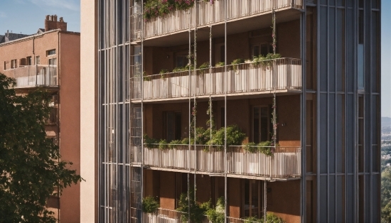 Plant, Property, Building, Window, Tower Block, Urban Design