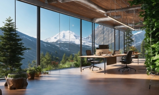 Plant, Table, Sky, Mountain, Architecture, Interior Design