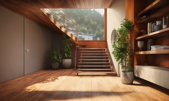 Plant, Wood, Interior Design, Shelf, Floor, Flooring