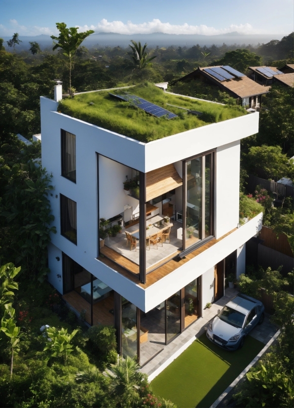 Property, Building, Plant, Tree, Window, Urban Design
