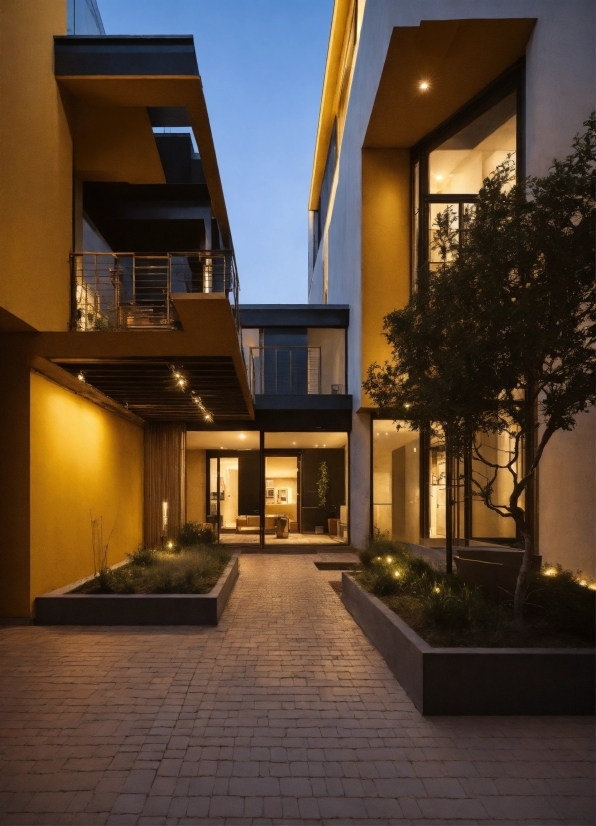 Property, Plant, Building, Sky, Window, Interior Design