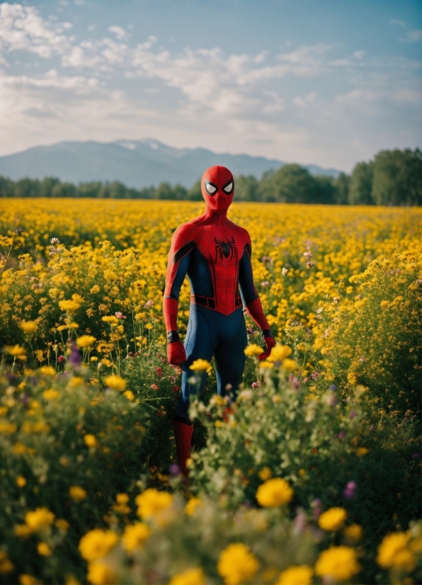 Rapeseed, Mustard, Oilseed, Seed, Field, Meadow