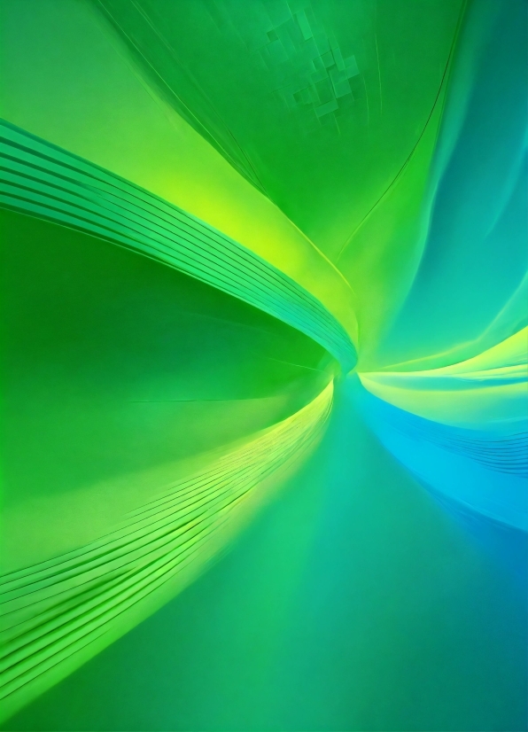 Royalty Free Video Download, Colorfulness, Water, Terrestrial Plant, Liquid, Tints And Shades