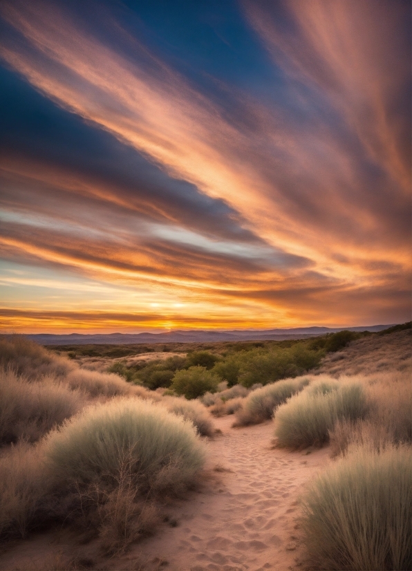 Sky, Desert, Landscape, Horizon, Rural, Sunset