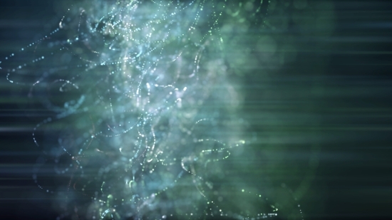 Spider Web, Web, Cobweb, Trap, Spider, Light