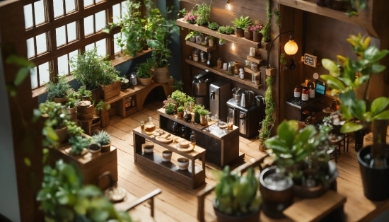 Table, Flowers, House, Restaurant, Furniture, Building