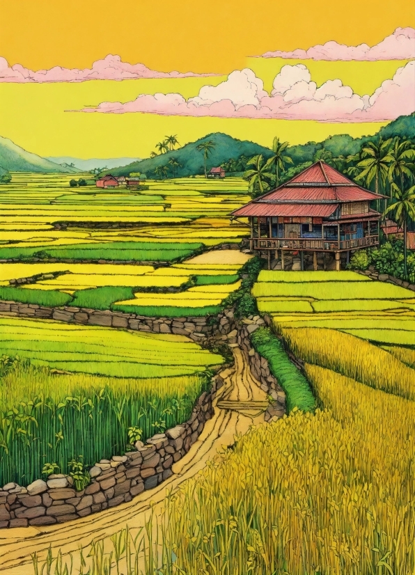 Vimeo Stock Footage, Rapeseed, Rice, Oilseed, Seed, Grain