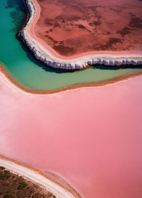 Ai Generator Pics, Water, Water Resources, Ecoregion, Azure, Orange