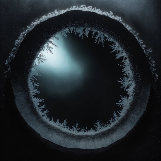 Ai Trace Image, Eye, Eyebrow, Eyelash, Human Body, Flash Photography