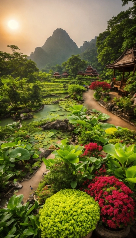 Flower, Plant, Plant Community, Mountain, Sky, Natural Landscape