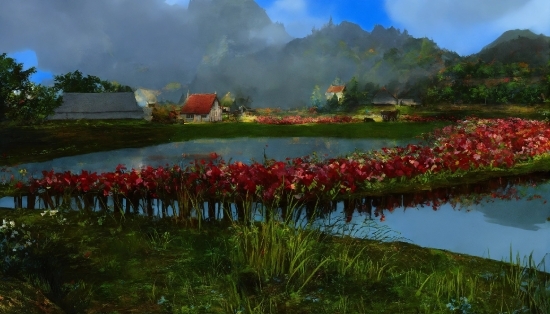 Flower, Water, Plant, Cloud, Sky, Ecoregion