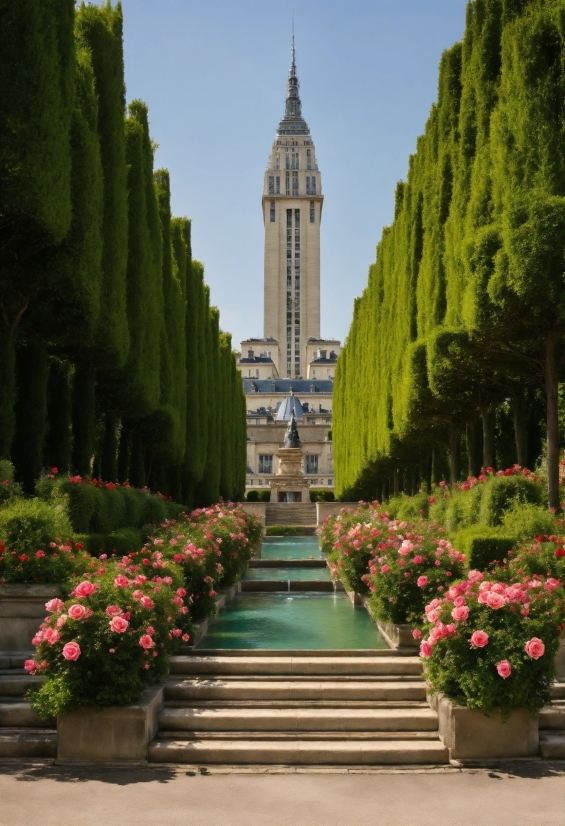 Free Movie Clips For Video Editing, Flower, Plant, Sky, Daytime, Building