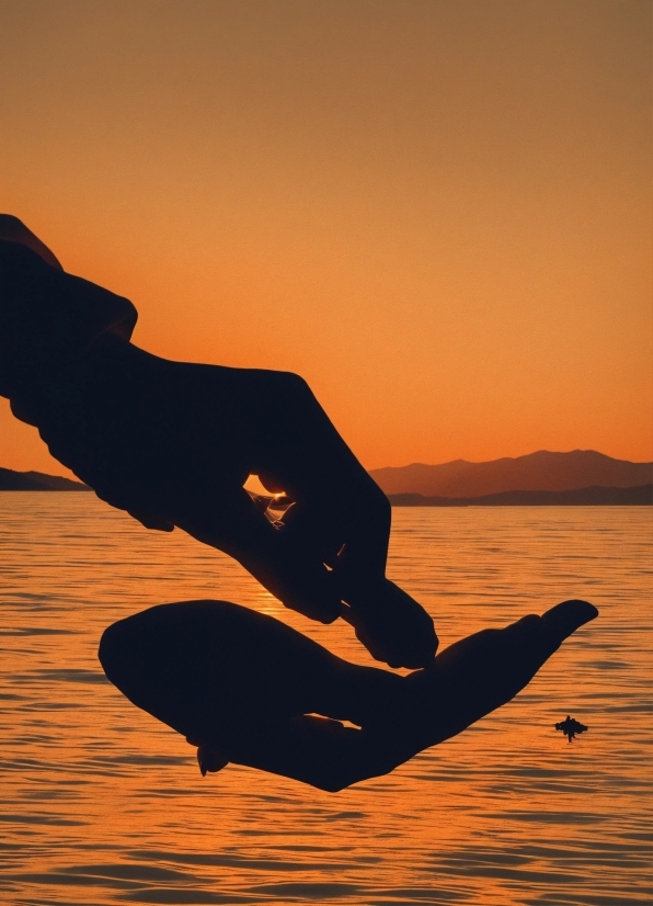Free Videos And Photos Download, Water, Sky, People In Nature, Human Body, Flash Photography