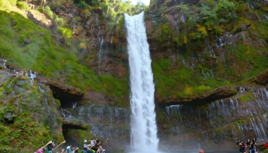 Google Music Ai Generator, Water, Fluvial Landforms Of Streams, Botany, Natural Landscape, Waterfall