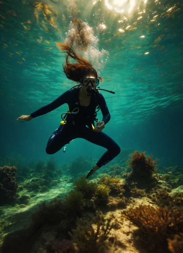 Laxmi Ganesh Saraswati Photo Hd Download, Water, Underwater Diving, Scuba Diving, Diving Equipment, Divemaster