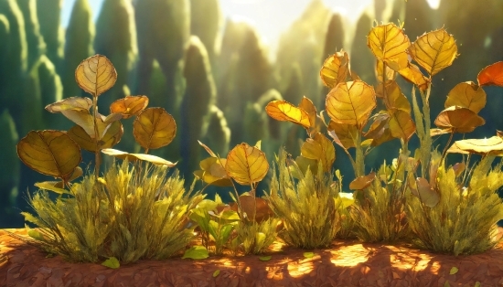 Library Desktop Wallpaper, Flower, Plant, Botany, People In Nature, Petal