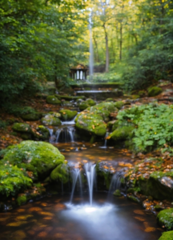 Openai Music, Water, Plant, Water Resources, Fluvial Landforms Of Streams, Nature
