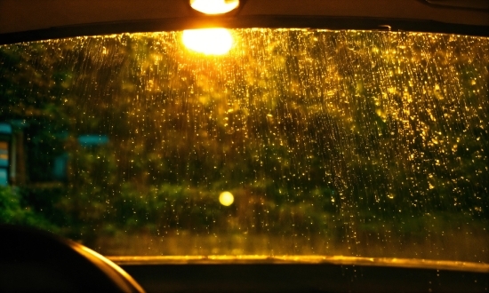 Pictures To Anime Ai, Automotive Lighting, Amber, Light, Nature, Leaf