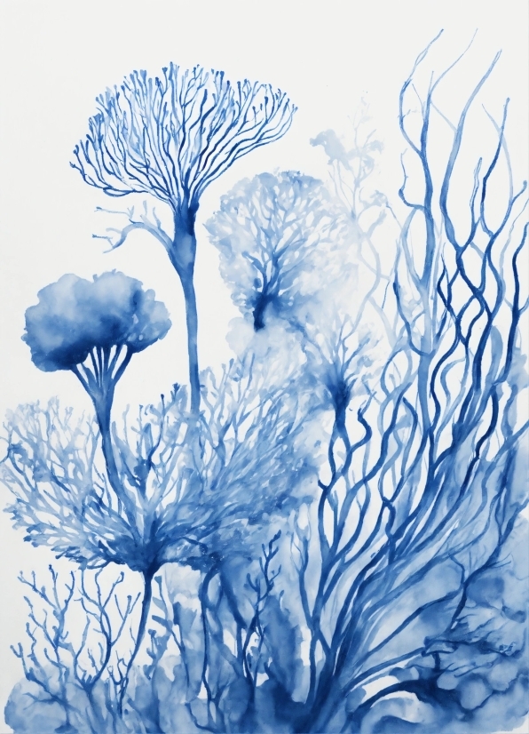 Plant, Blue, Azure, Botany, Organism, Paint