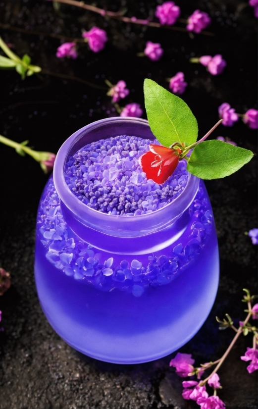 Plant, Flower, Purple, Petal, Liquid, Violet
