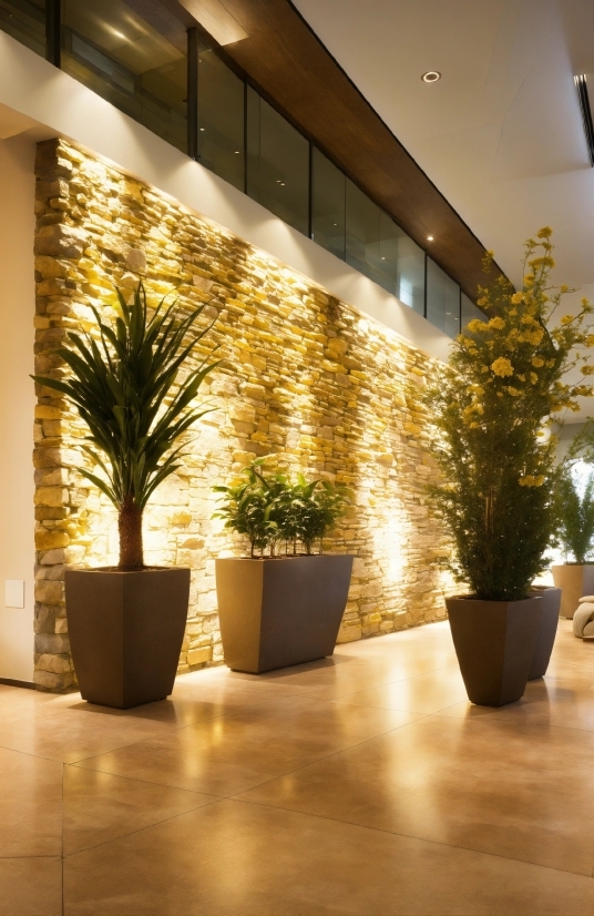 Plant, Property, Houseplant, Interior Design, Wood, Flowerpot