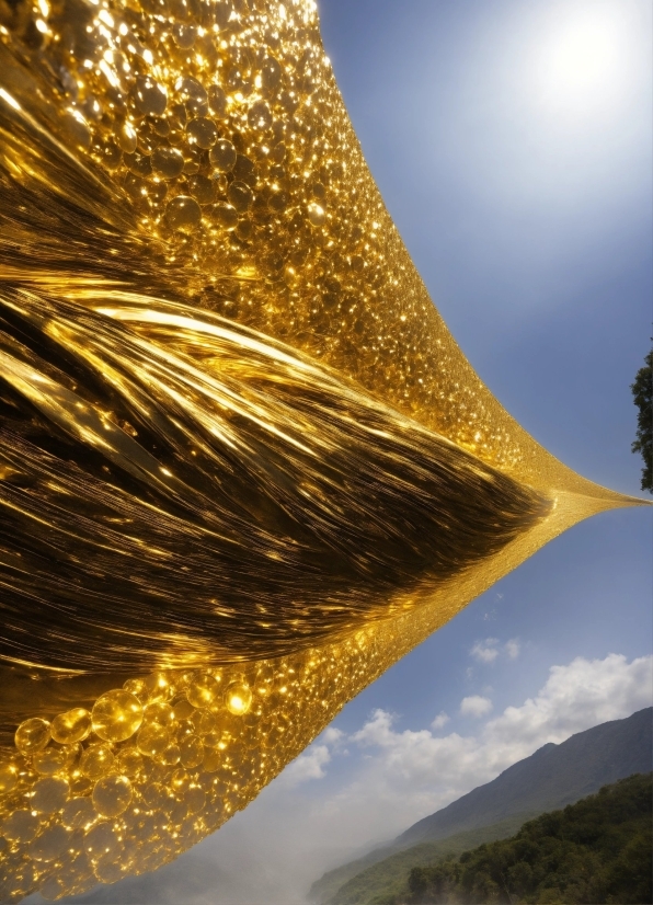 Pond5 Video Downloader, Sky, Cloud, Plant, Gold, Tree