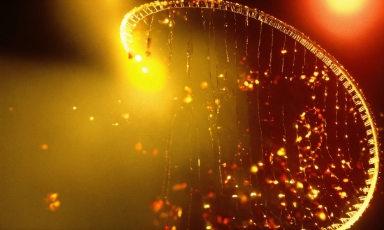 Visual Inspection Ai, Amber, Water, Orange, Gold, Sky