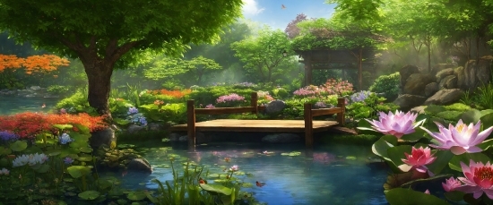 Water, Flower, Plant, Natural Landscape, Tree, Lake