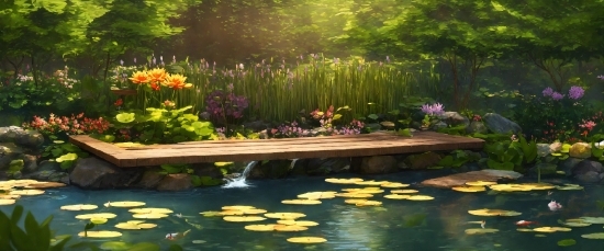Water, Flower, Plant, Plant Community, Green, Natural Landscape