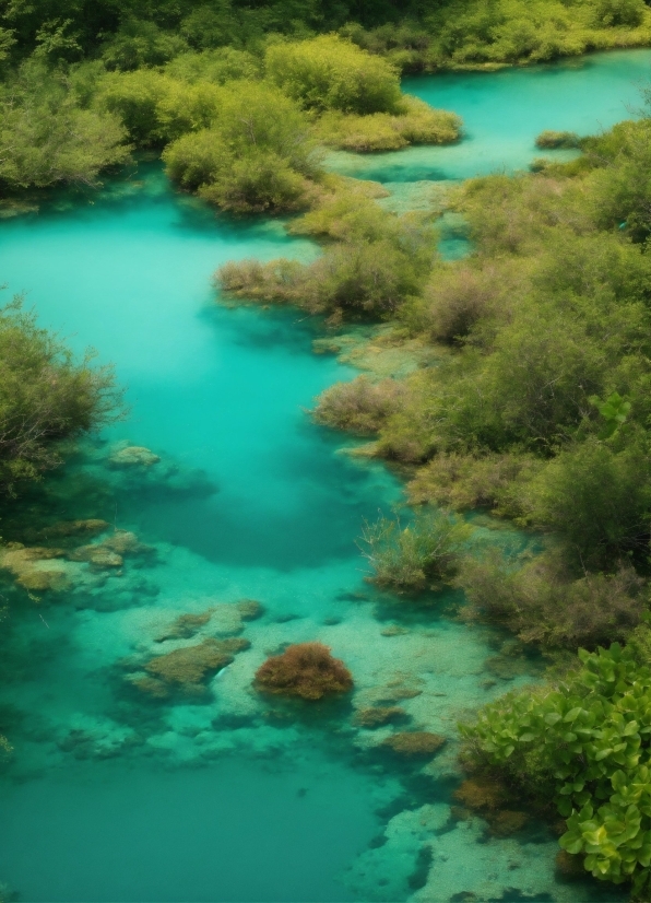 Water, Green, Fluvial Landforms Of Streams, Nature, Azure, Plant