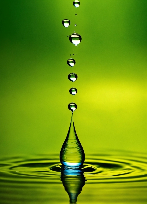 Water, Liquid, Fluid, Terrestrial Plant, Solvent, Symmetry