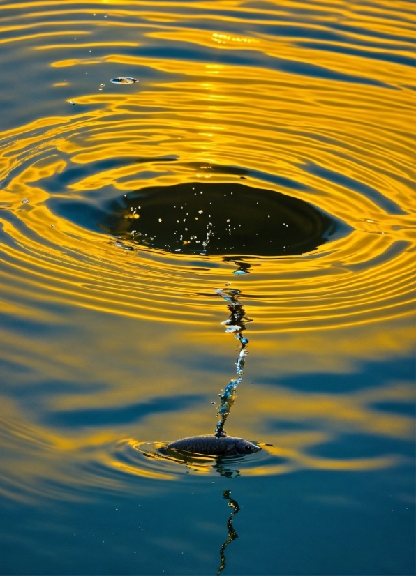 Water, Liquid, Nature, Fluid, Line, Reflection