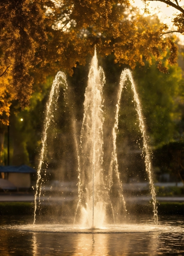 Water, Plant, Nature, Botany, Fountain, Natural Landscape