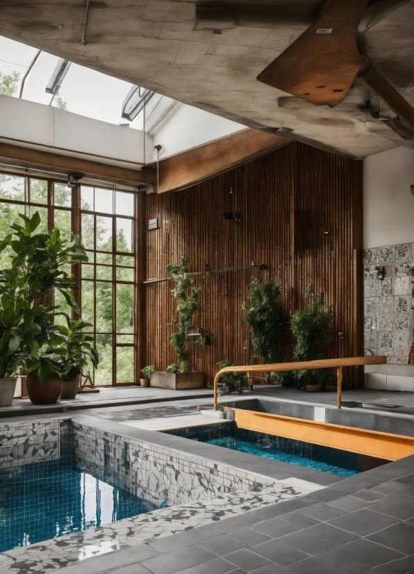 Water, Plant, Property, Wood, Swimming Pool, Architecture