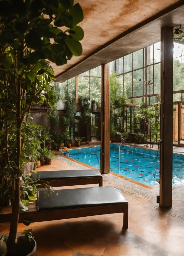 Water, Plant, Swimming Pool, Shade, Interior Design, Building