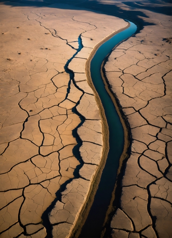 Water Resources, Water, Road Surface, Natural Environment, Wood, Dry Lake