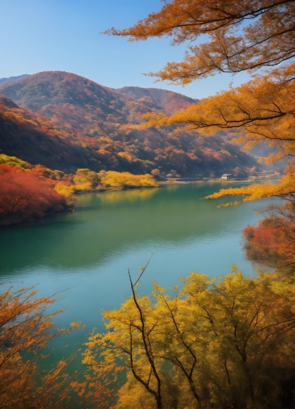 Water, Sky, Mountain, Leaf, Natural Landscape, Tree