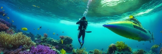 Water, Underwater Diving, Azure, Diving Equipment, Underwater, Divemaster